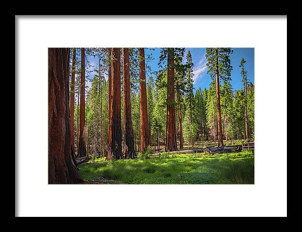 Wall art Wonders in Yosemite National Park - Framed Print