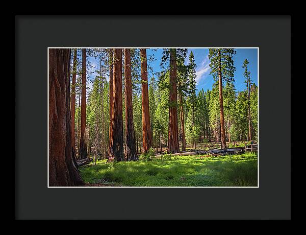 Wall art Wonders in Yosemite National Park - Framed Print