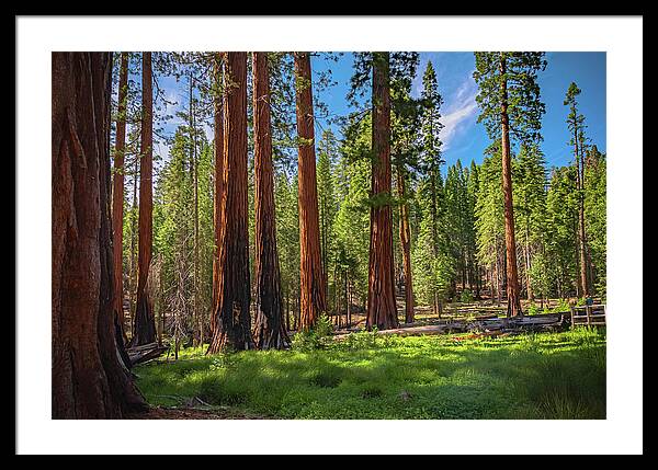 Wall art Wonders in Yosemite National Park - Framed Print
