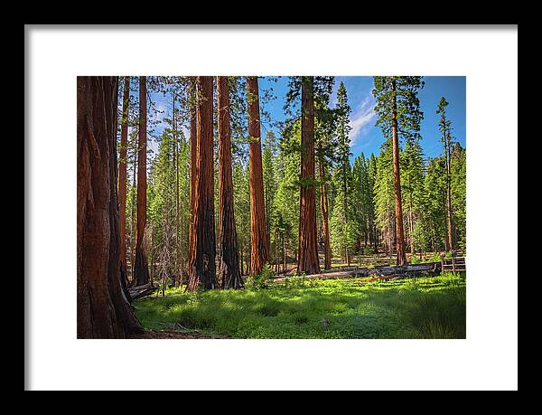 Wall art Wonders in Yosemite National Park - Framed Print