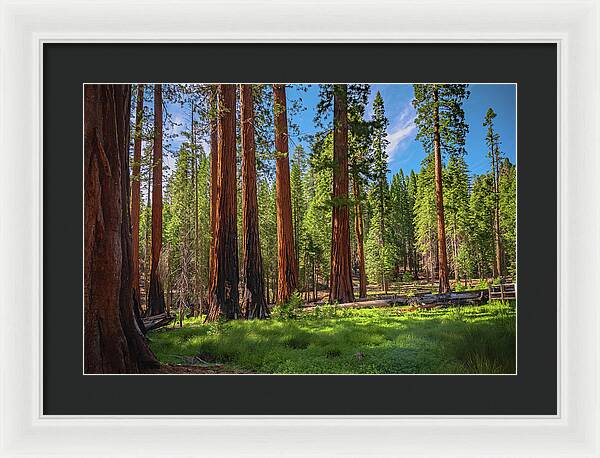 Wall art Wonders in Yosemite National Park - Framed Print