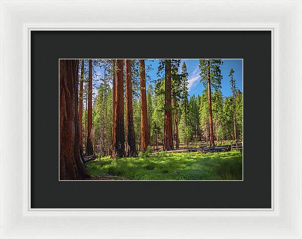 Wall art Wonders in Yosemite National Park - Framed Print