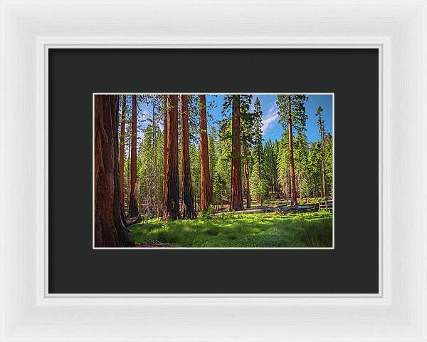 Wall art Wonders in Yosemite National Park - Framed Print
