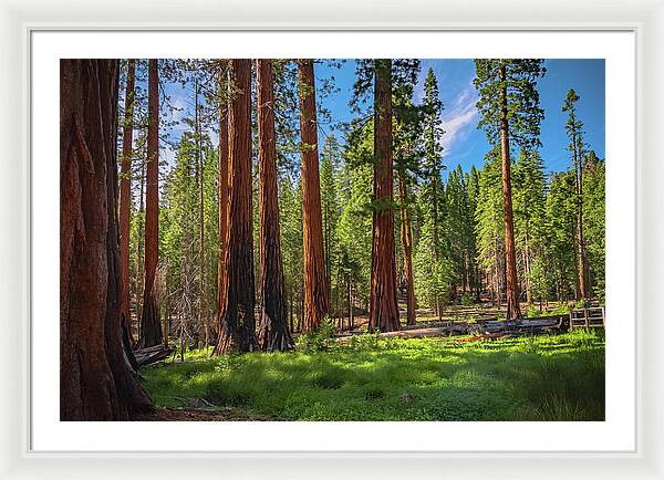 Wall art Wonders in Yosemite National Park - Framed Print
