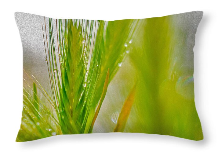 Water Droplets on Green Grass - Throw Pillow