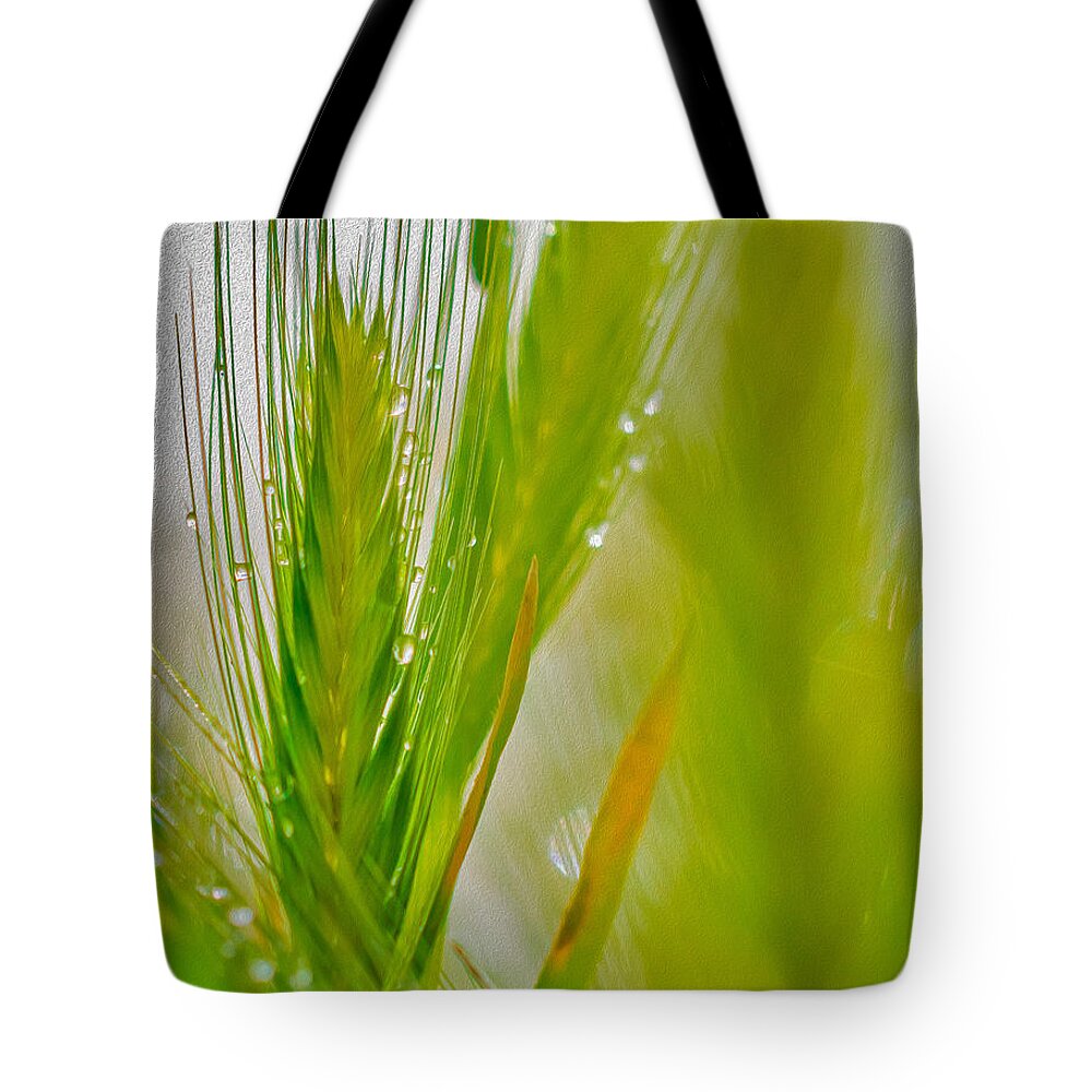 Water Droplets on Green Grass - Tote Bag