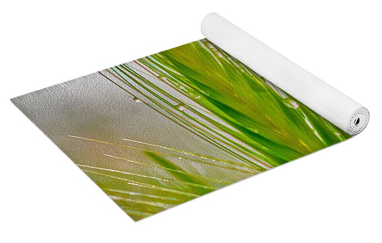 Water Droplets on Green Grass - Yoga Mat