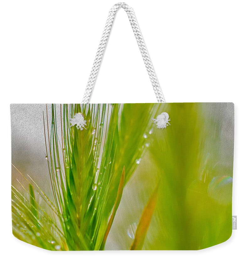 Water Droplets on Green Grass - Weekender Tote Bag