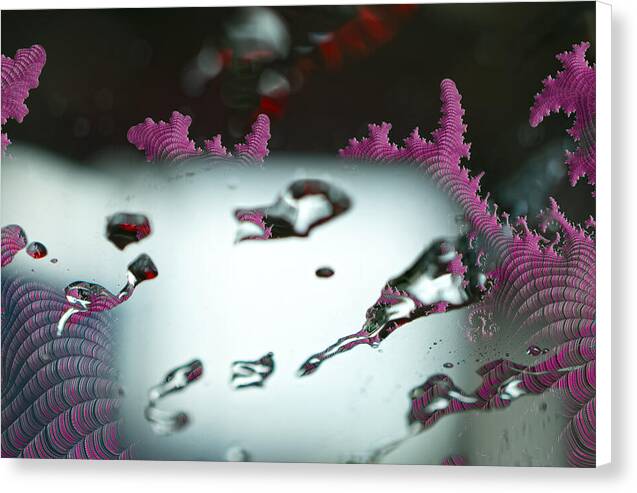 Water Drops and Pink Abstracts - Canvas Print