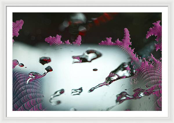Water Drops and Pink Abstracts - Framed Print