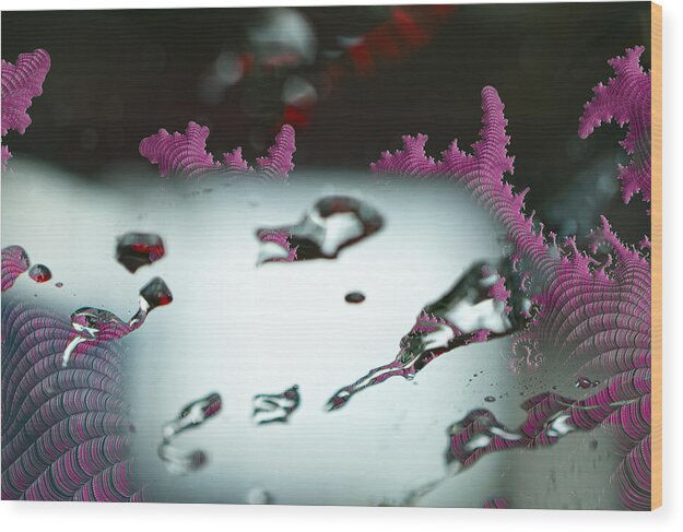 Water Drops and Pink Abstracts - Wood Print