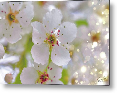 White and Sparkly Blooms - Metal Print