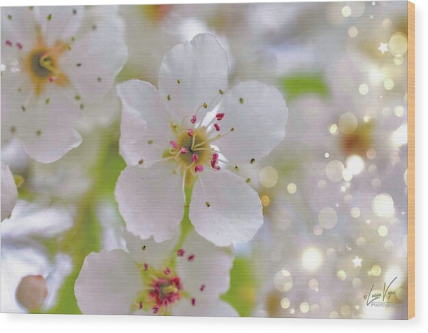 White and Sparkly Blooms - Wood Print