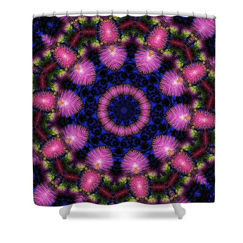 Wild Feathery Desert Mandala - Shower Curtain