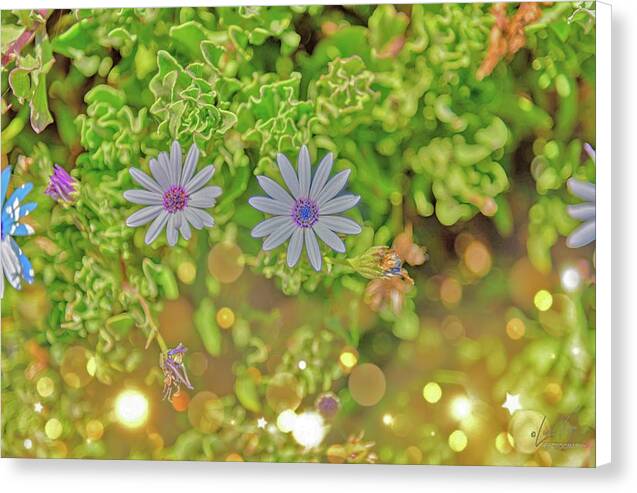 Wonderful Flowers of Spring - Canvas Print