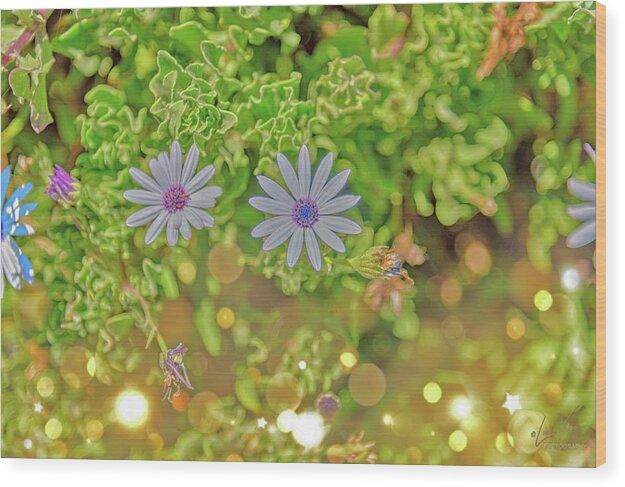 Wonderful Flowers of Spring - Wood Print