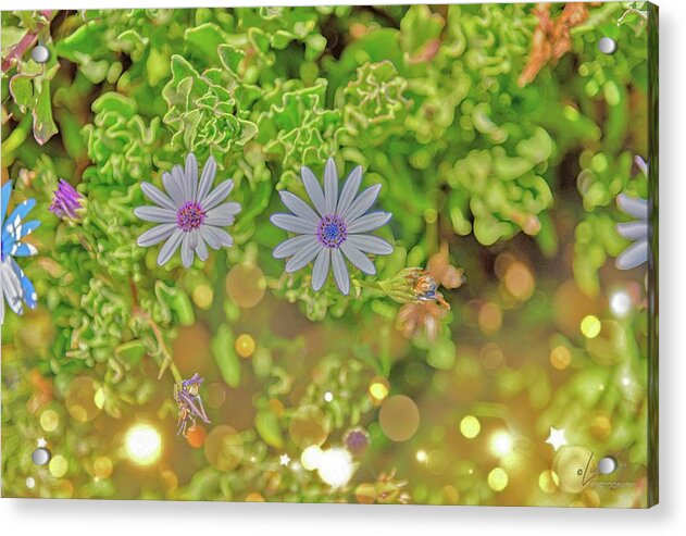 Wonderful Flowers of Spring - Acrylic Print