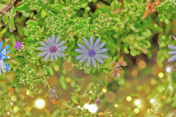 Wonderful Flowers of Spring - Art Print