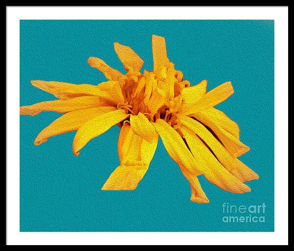 Yellow Artistic Flower and Blue Background - Framed Print