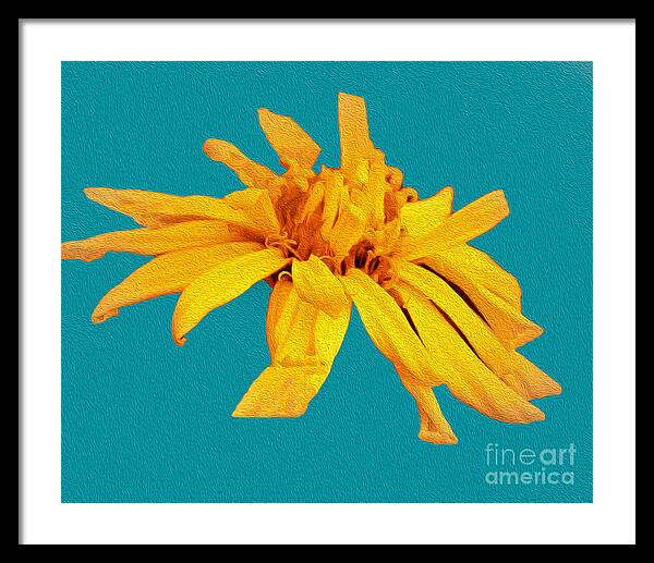 Yellow Artistic Flower and Blue Background - Framed Print