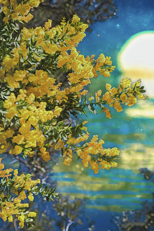 Yellow Flowers and Glowing Moon Landscape - Art Print