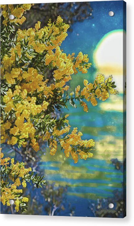 Yellow Flowers and Glowing Moon Landscape - Acrylic Print