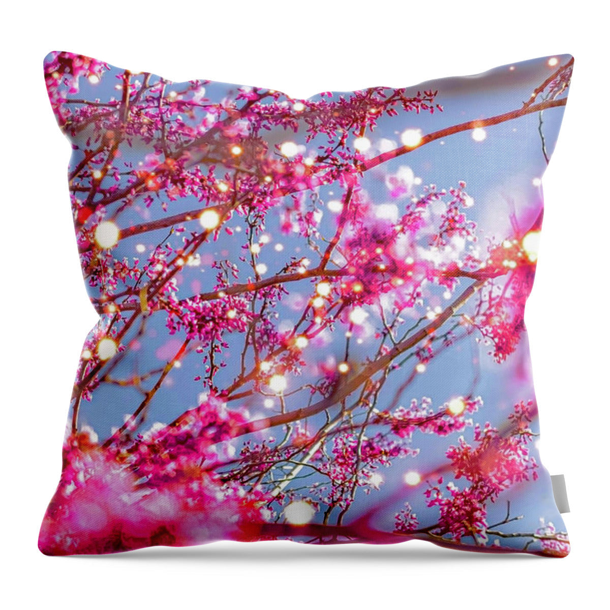Throw Pillows