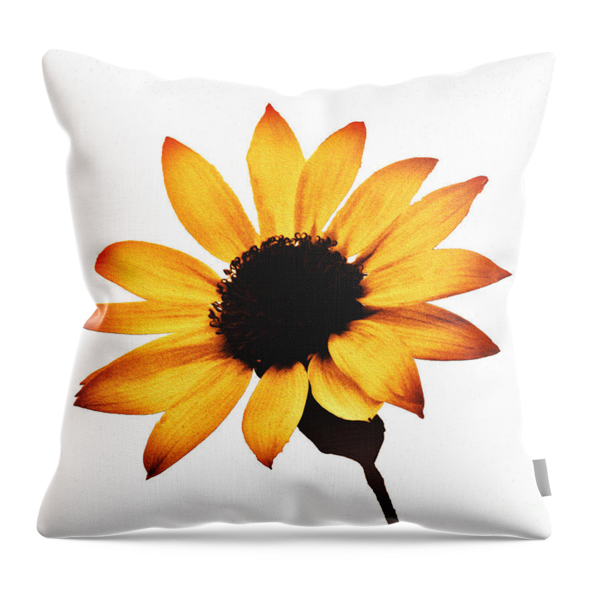 Sunny Sunflower Painting Art 1 - Throw Pillow