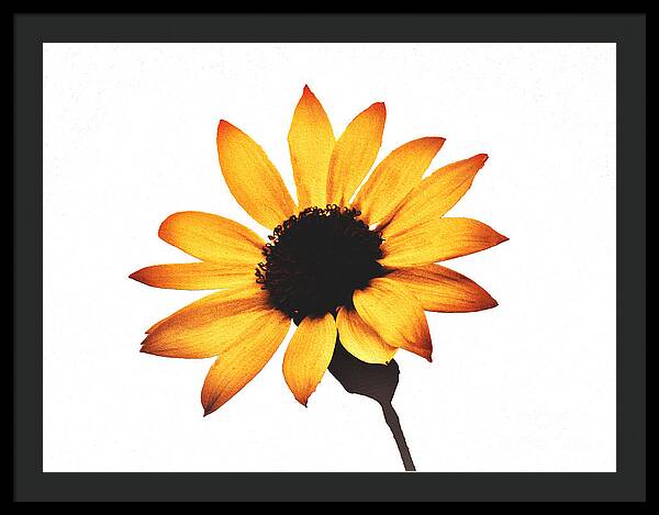 Sunny Sunflower Painting Art 1 - Framed Print