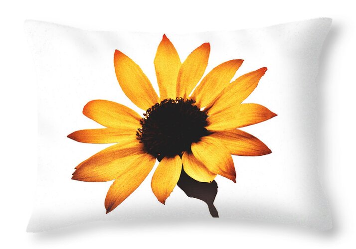 Sunny Sunflower Painting Art 1 - Throw Pillow