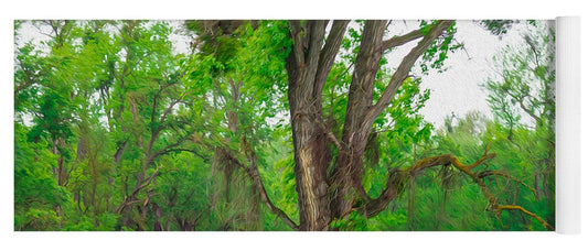 Lavender Flowers Landscape 3 - Yoga Mat