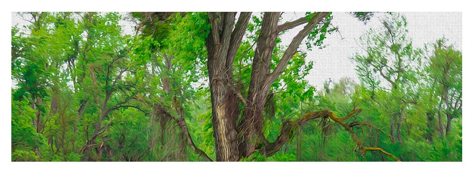 Lavender Flowers Landscape 3 - Yoga Mat
