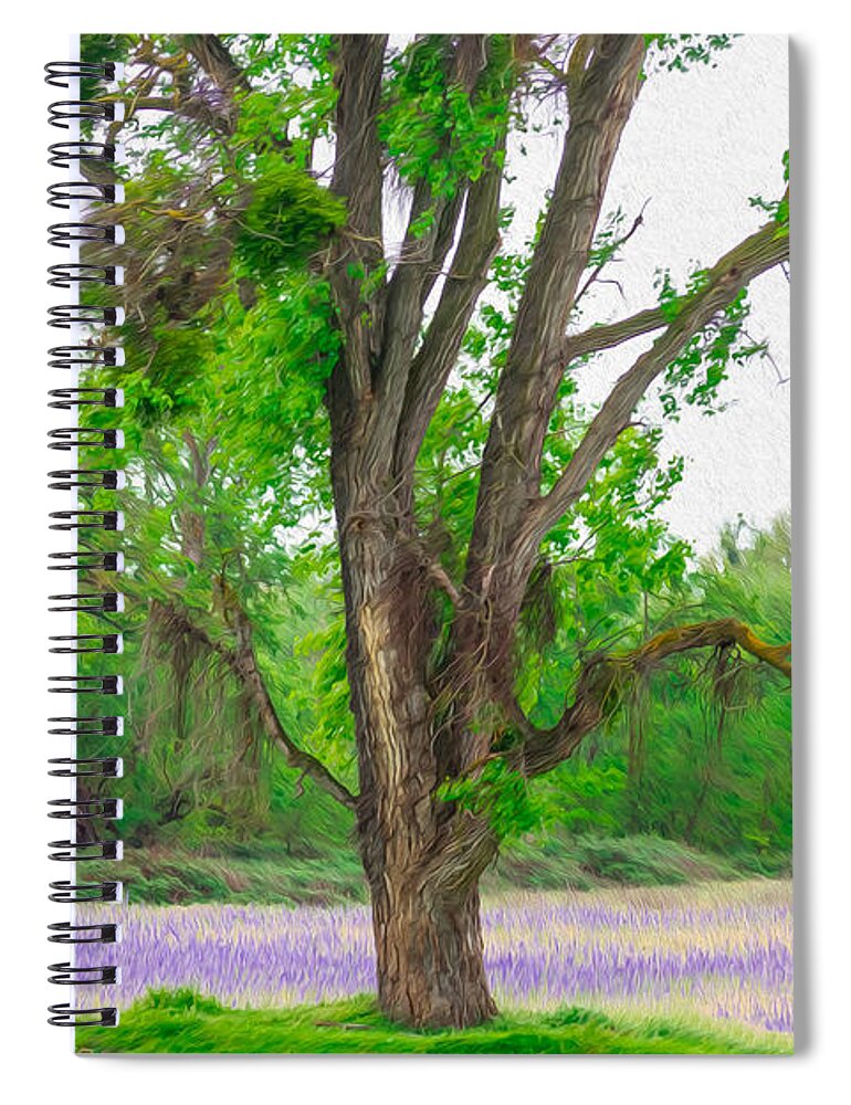 Lavender Flowers Landscape 3 - Spiral Notebook