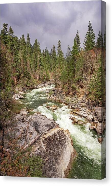 Calaveras Big Trees State Park River 5 - Canvas Print
