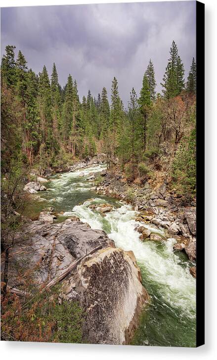 Calaveras Big Trees State Park River 5 - Canvas Print