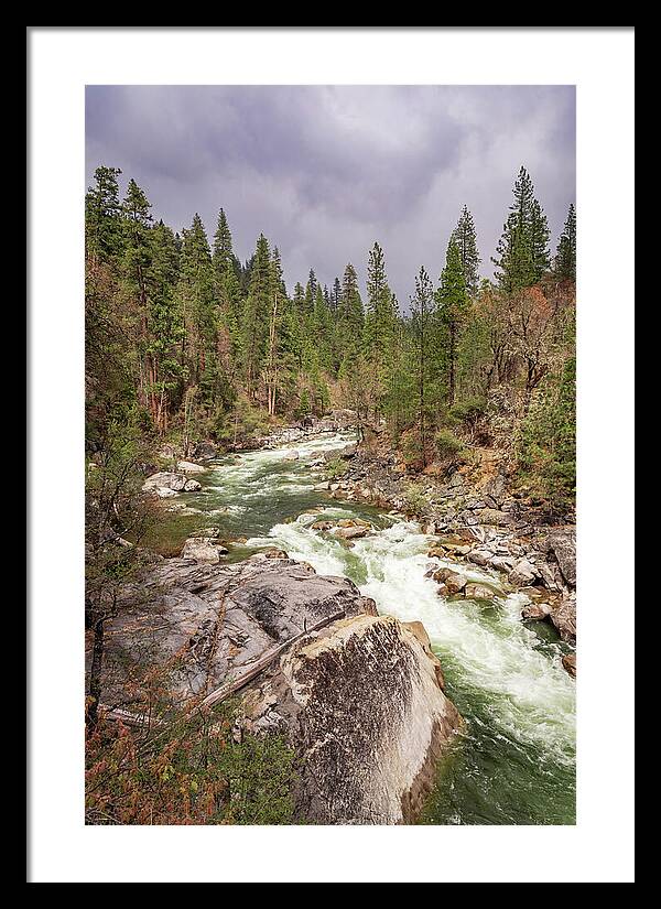 Calaveras Big Trees State Park River 5 - Framed Print