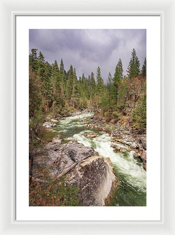 Calaveras Big Trees State Park River 5 - Framed Print