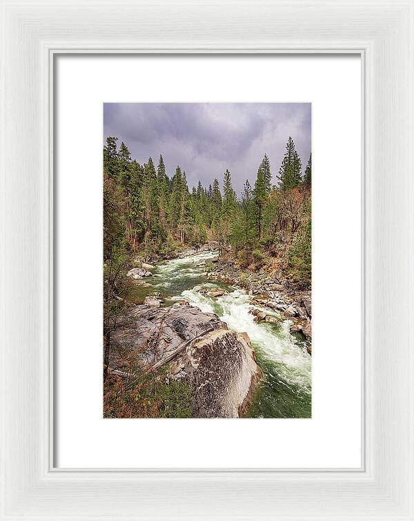 Calaveras Big Trees State Park River 5 - Framed Print