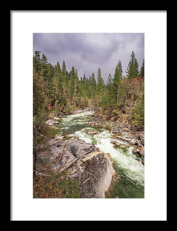 Calaveras Big Trees State Park River 5 - Framed Print