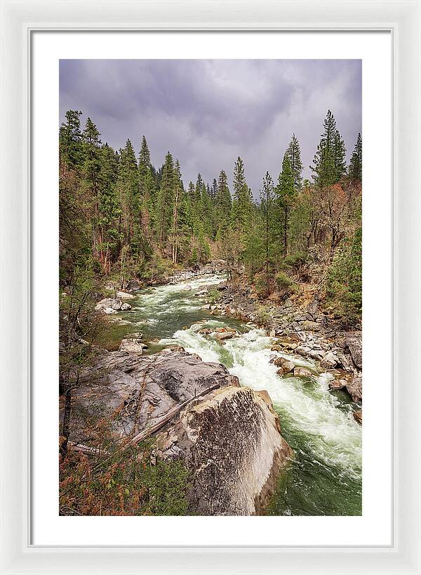 Calaveras Big Trees State Park River 5 - Framed Print
