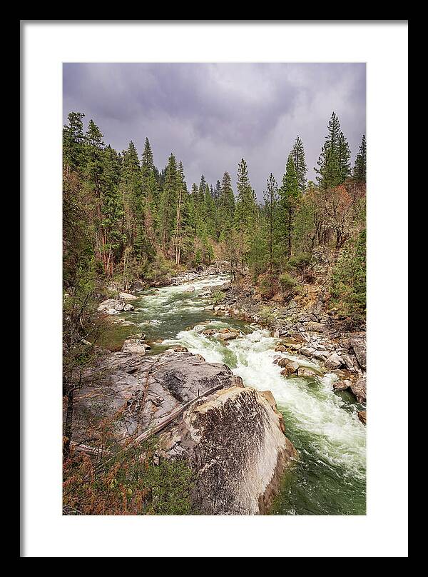 Calaveras Big Trees State Park River 5 - Framed Print