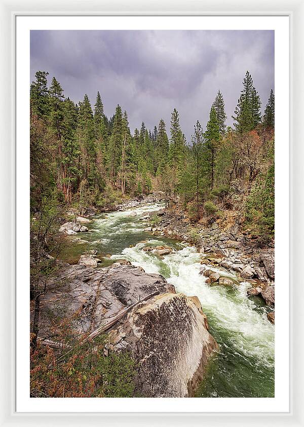 Calaveras Big Trees State Park River 5 - Framed Print