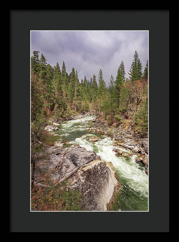Calaveras Big Trees State Park River 5 - Framed Print