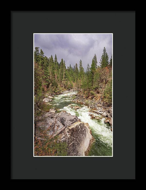 Calaveras Big Trees State Park River 5 - Framed Print