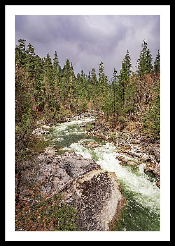 Calaveras Big Trees State Park River 5 - Framed Print