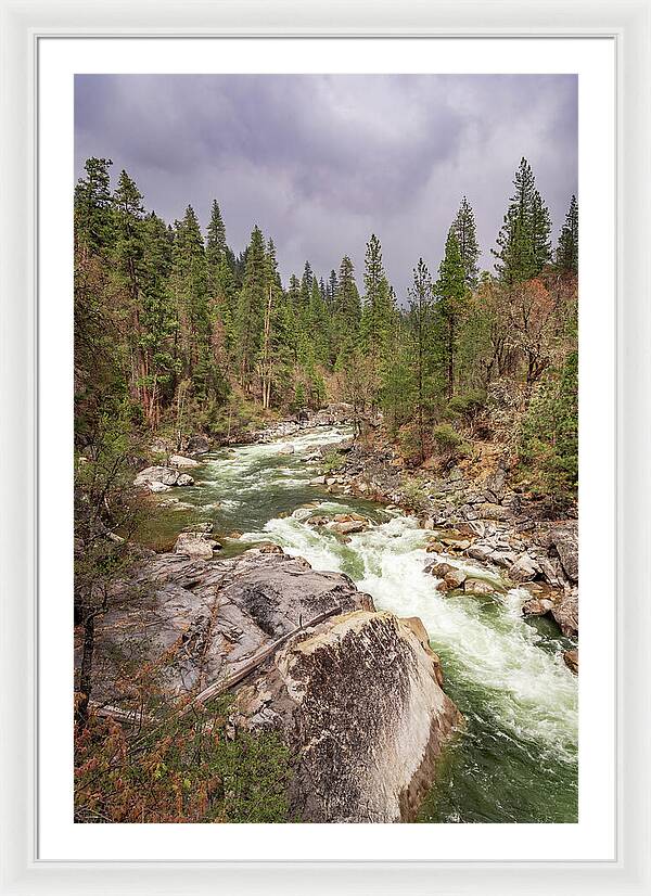 Calaveras Big Trees State Park River 5 - Framed Print