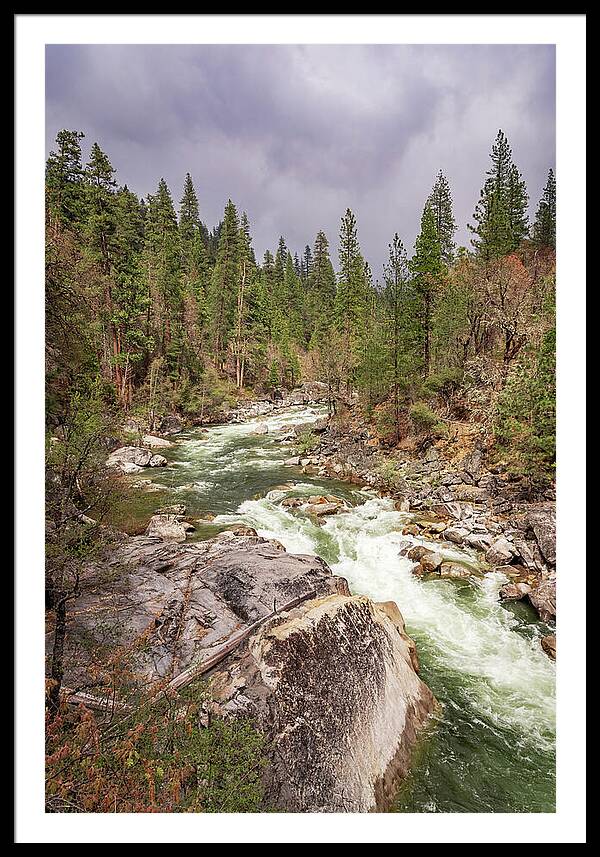 Calaveras Big Trees State Park River 5 - Framed Print