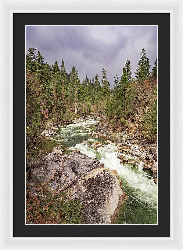 Calaveras Big Trees State Park River 5 - Framed Print