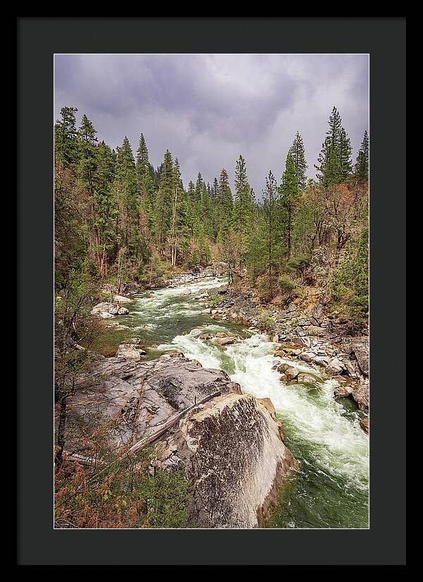 Calaveras Big Trees State Park River 5 - Framed Print