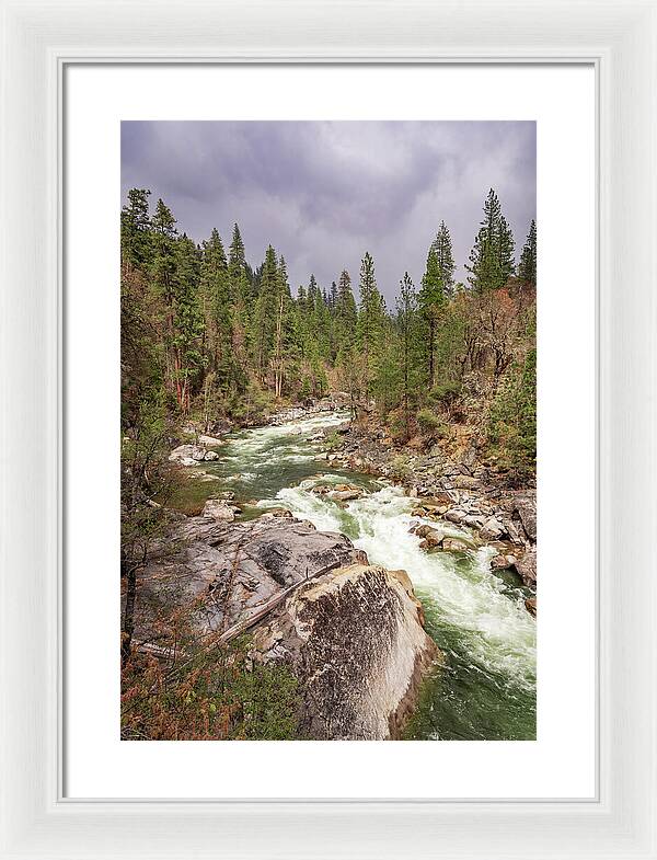 Calaveras Big Trees State Park River 5 - Framed Print
